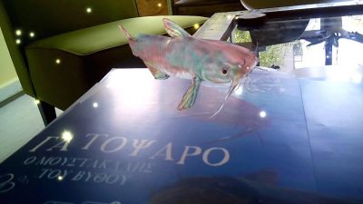 iWrite-MagikaVivlia_02-27-54_06-06-16-1-510x287