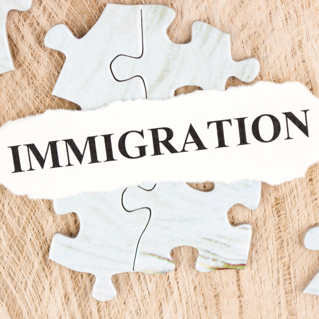 children's literature immigration